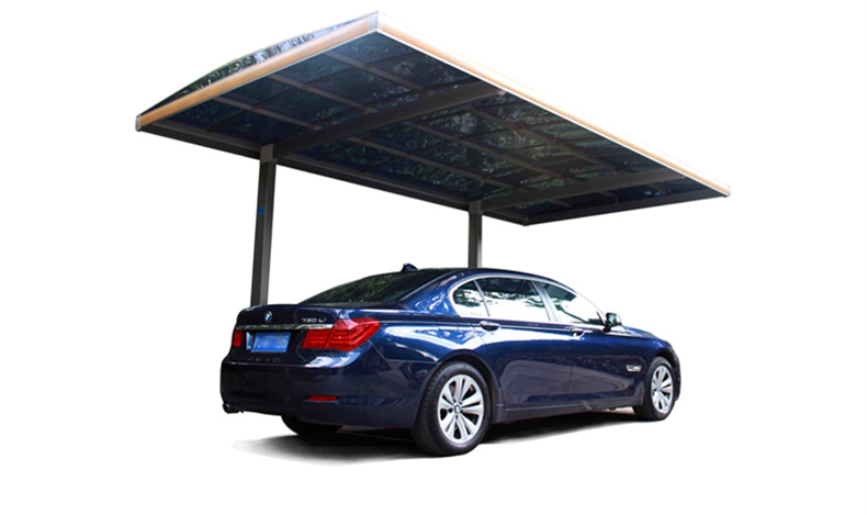 111111.jpg 111111.jpg